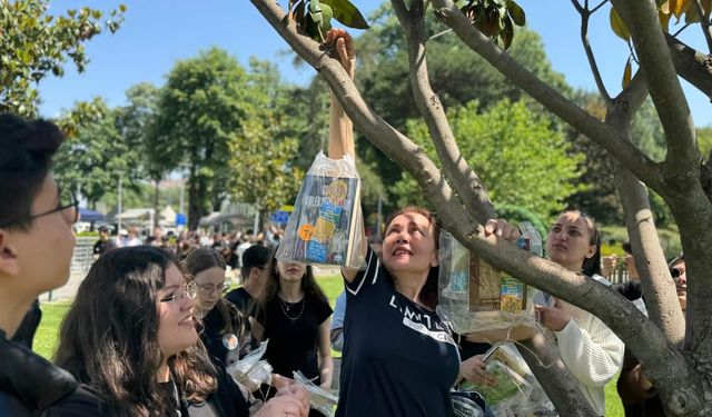 Ağaç dallarına kitap astılar