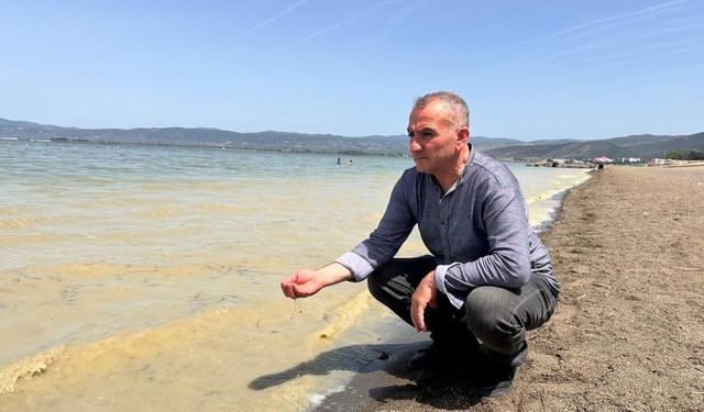 İznik Gölü'nde çevre felaketi