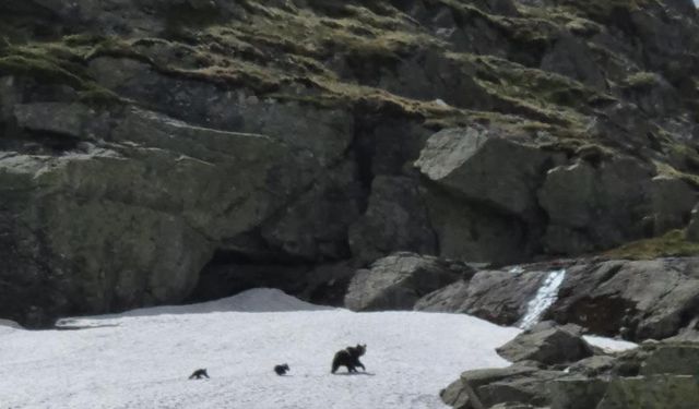 Uludağ'a gelenler gözlerine inanamadı