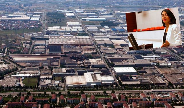 CHP Bursa Milletvekili Kayışoğlu uyardı: Firmalar iflas ediyor