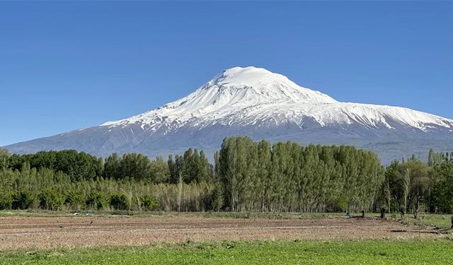 Görenleri büyülüyor ama