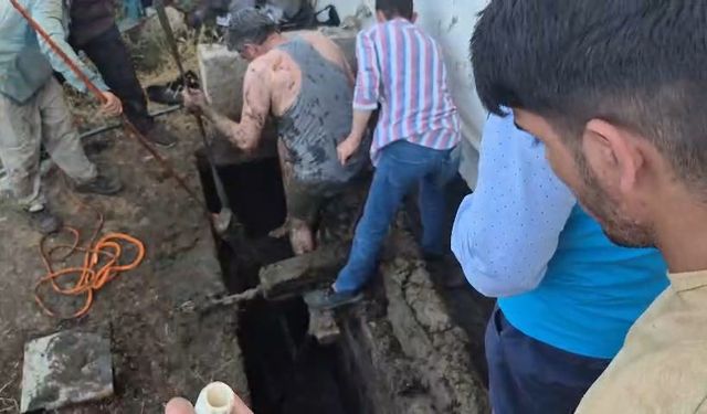 İpini kopardı, foseptik çukuruna düştü