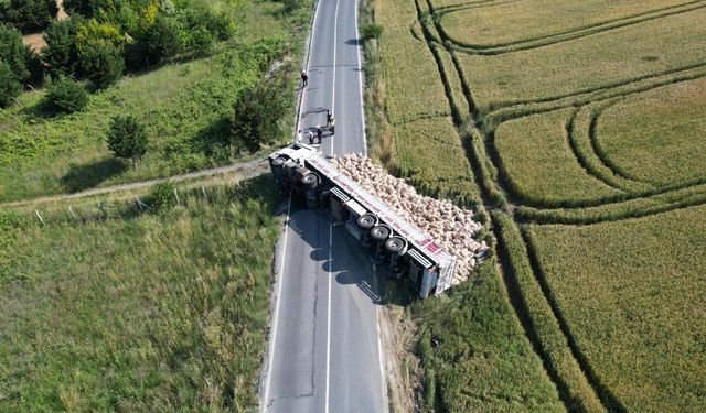 Patatesler yolu kapattı!