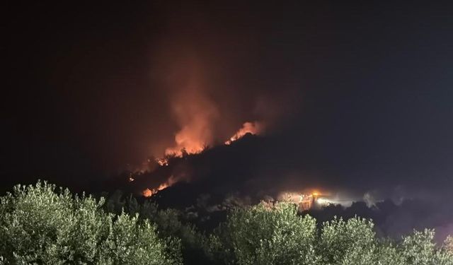 İzmir'deki orman yangını, evleri tehdit ediyor!
