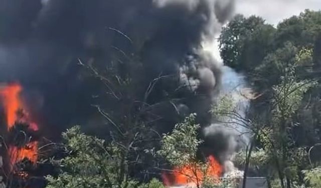 Tırda yangın çıktı, ormanı yaktı