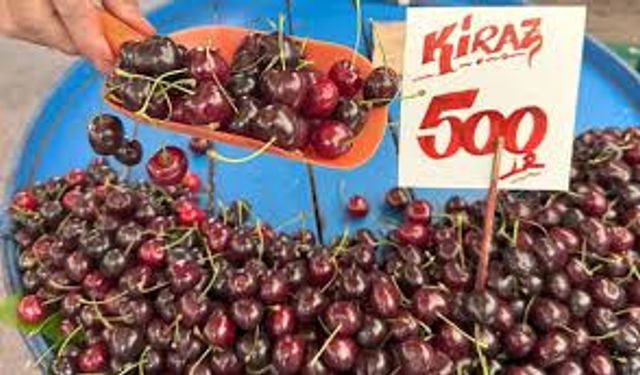 Meyve fiyatları uçtu, kiraz 500