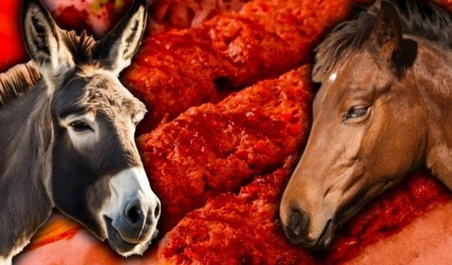Kıymada at ve eşek eti çıktı, ucuzdan uzak durun!