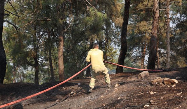 'Bursa yeniden yeşil kimliğine kavuşacak'