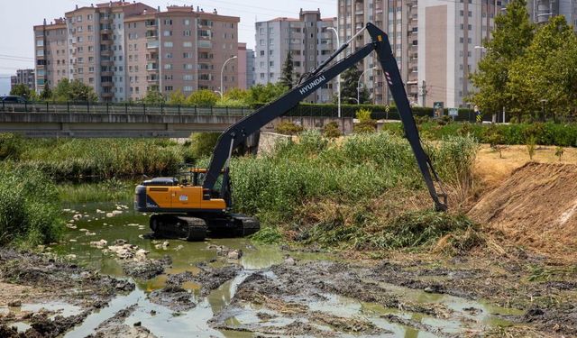 Nilüfer'e yakışmıyordu, pislikten kurtuluyor