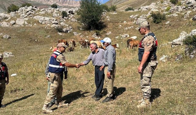 Firar eden inekleri Jandarma buldu