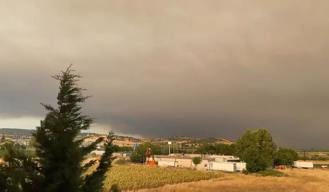 Orman yangının dumanları Bursa'yı sardı!