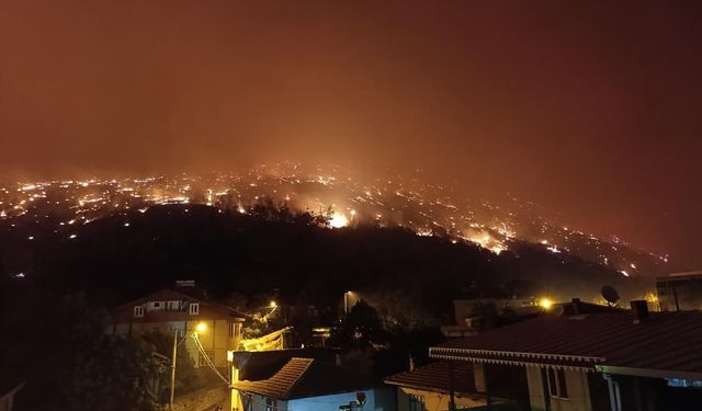 Bursa'nın ciğerleri yanıyor