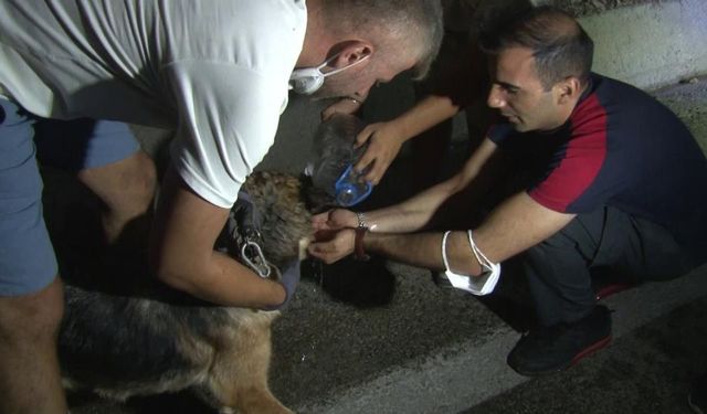 Allah'ın sessiz kulları böyle kurtarıldı