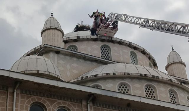Camide leylek kurtarma operasyonu