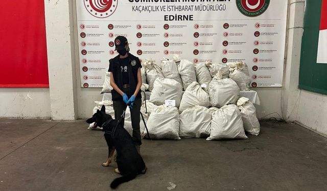 Kapıkule Sınır Kapısı'nda zehir operasyonu