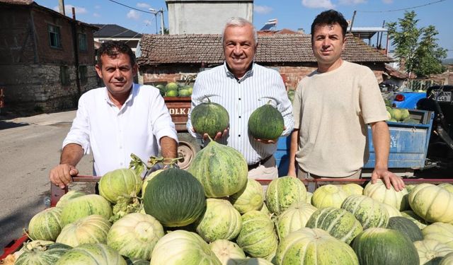 Bursa'da kavun üretimi arttı ama...