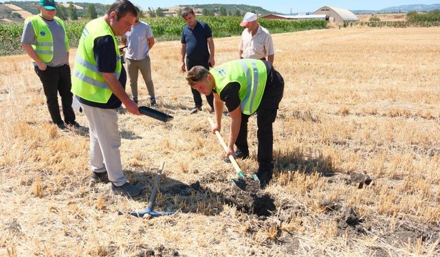 Bursa'da çiftçinin yüzü gülüyor