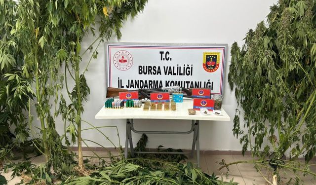 Bursa'da zehir tacirine baskın