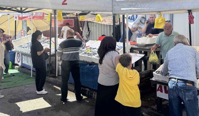 Tezgahlarda hamsi bolluğu