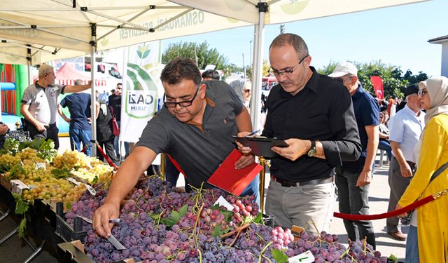 Türkiye'nin en güzel üzümleri görücüye çıktı