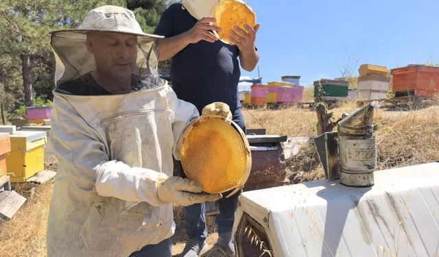 Uludağ'ın bereketi, başka yerde yok