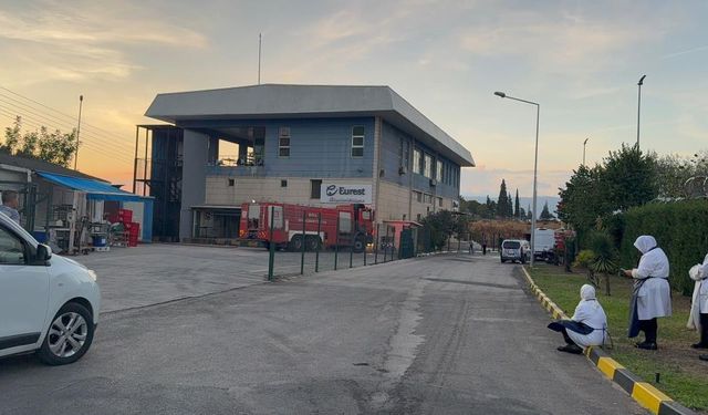 Gemlik Serbest Bölge'de korkutan yangın