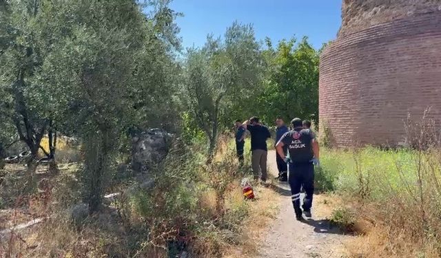 Surların dibinde can verdi!