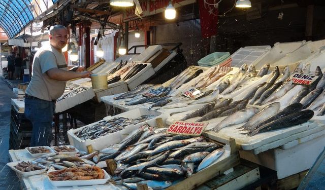 Denizden bereket fışkırdı, fiyatlar düştü