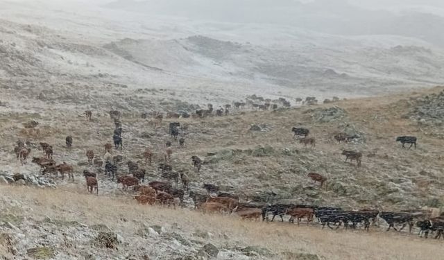 Yükseklere ilk kar yağdı