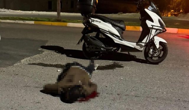 Sırtındaki bıçakla hastane yolunda can verdi!