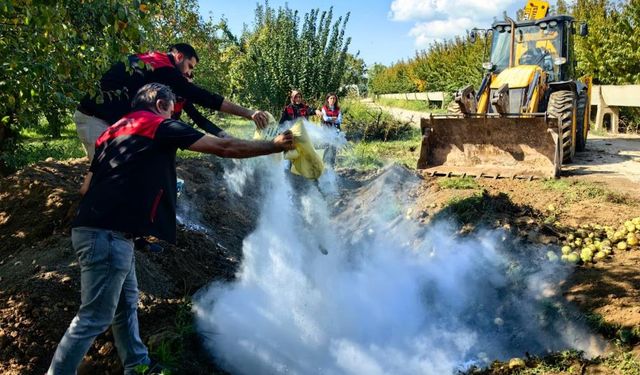 40 ton armut imha edildi