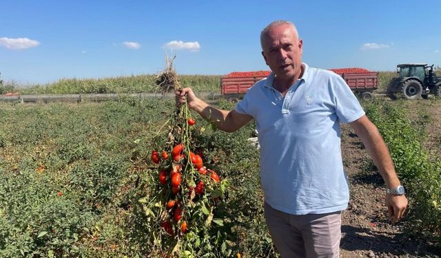 Parasını betona değil, tarlaya yatırdı