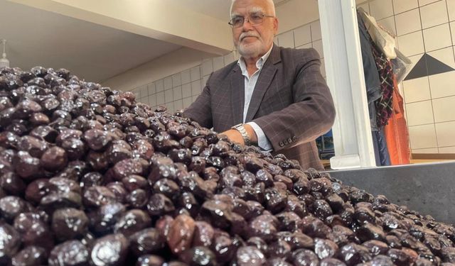'Almanya'ya satarsak, bizim insanımız zeytin yiyemez'