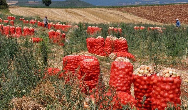 Çiftçilerin geliri artacak