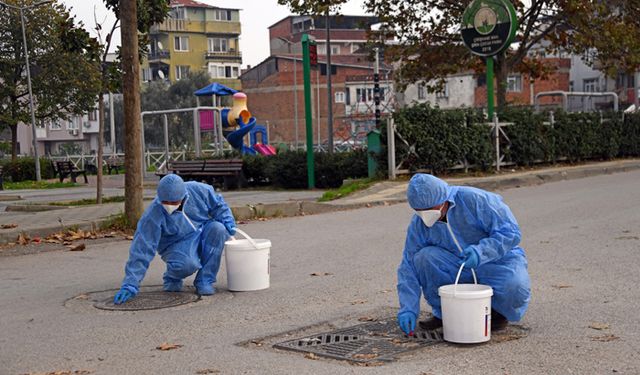 Osmangazi'de kapsamlı ilaçlama