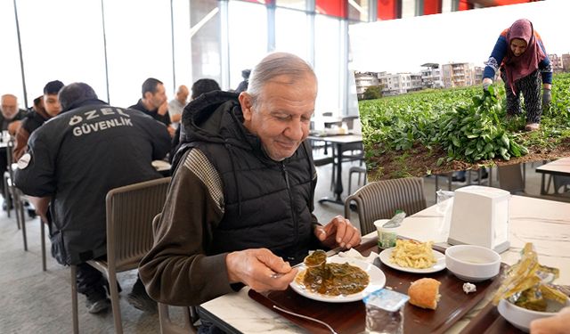 Organik ıspanaklar Kent Lokantalarında