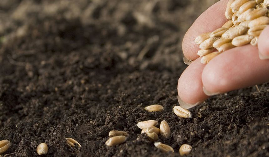 Rektör Kılavuz: Yerli tohum, milli teknoloji kadar önemli