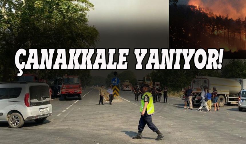 Çanakkale'deki yangın büyüyor!