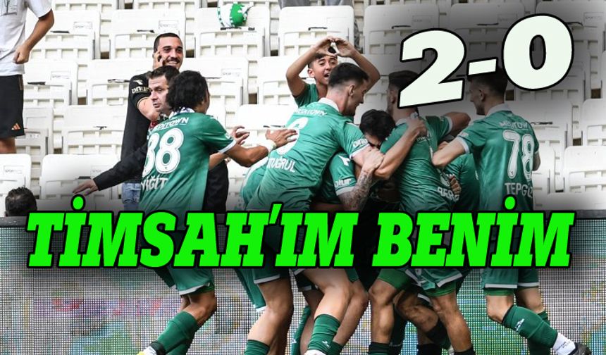 Bursaspor Ankaraspor'u sahadan sildi 2-0