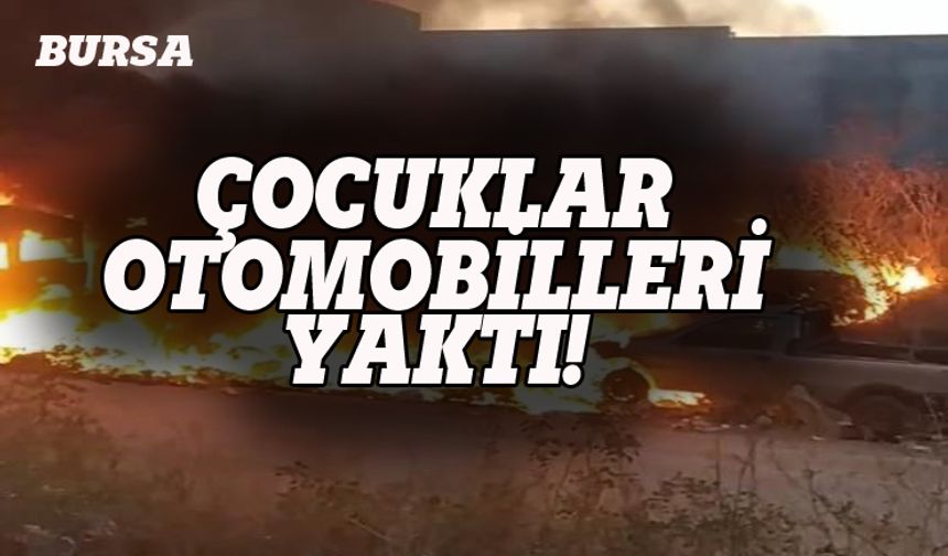 Bursa'da çocuklar otomobilleri yaktı!