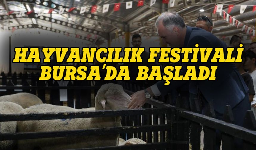 Hayvancılık festivali Bursa'da başladı