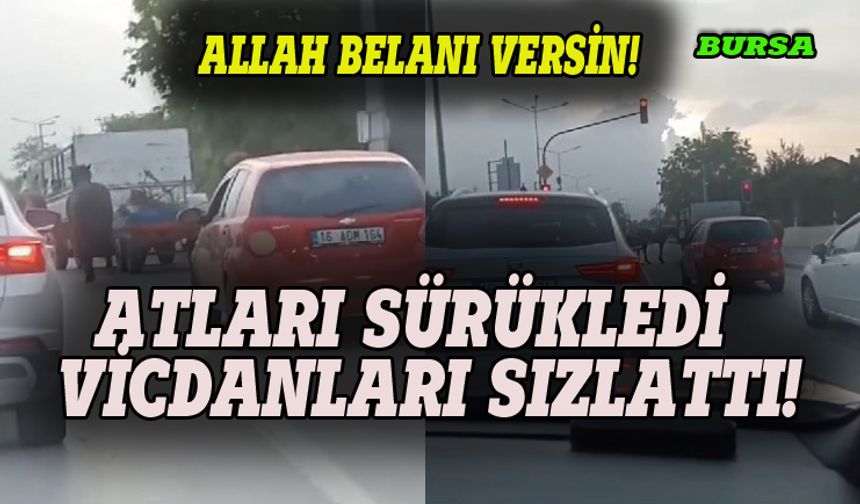 Bursa'da vicdanları sızlatan görüntü!