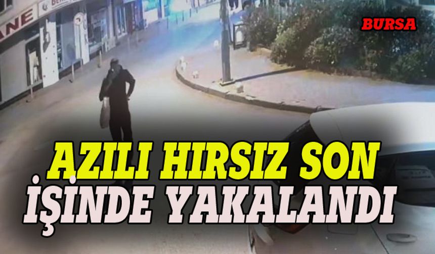 Bursa polisi azılı hırsızı yakaladı