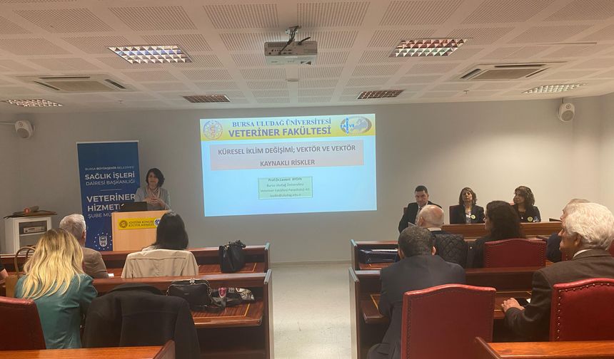 İklim krizi hangi hastalıkları tetikliyor?