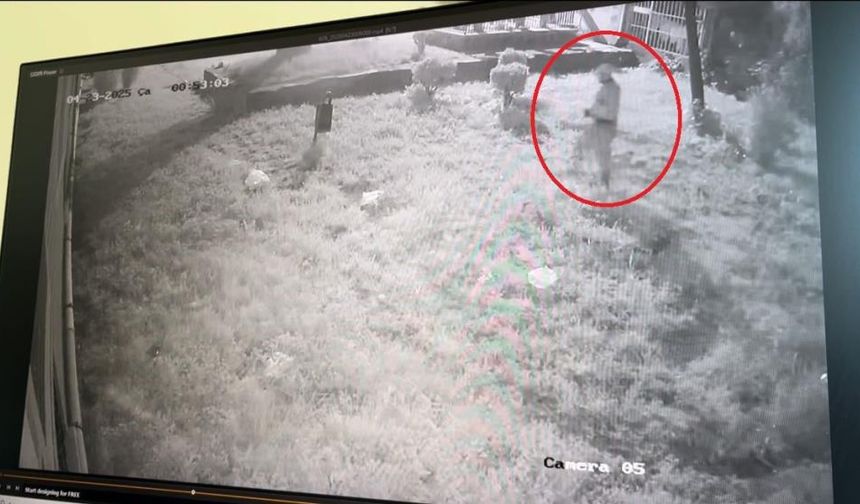 Hırsızlık yaptı, telefonu ele verdi
