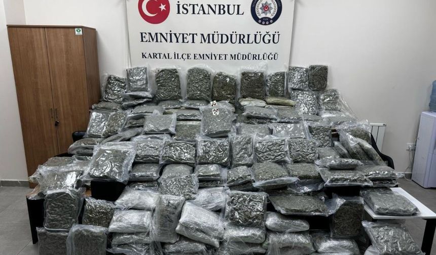 Kedi ve köpek maması satılan dükkanda zehir ticareti!