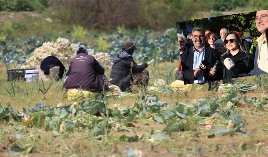 Çiftçiyi girdi maliyetleri perişan ediyor!