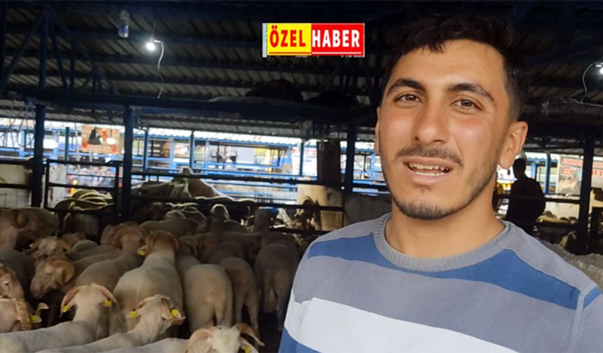 Bursa'daki kurban satıcıları isyan etti