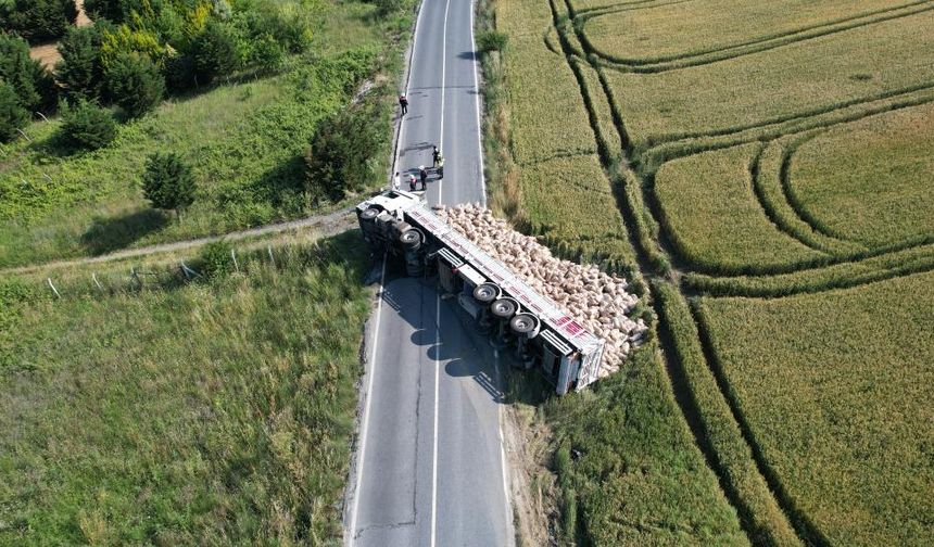 Patatesler yolu kapattı!