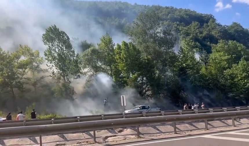 Bursa'daki ormanlık alanda yangın çıktı, müdahale sürüyor